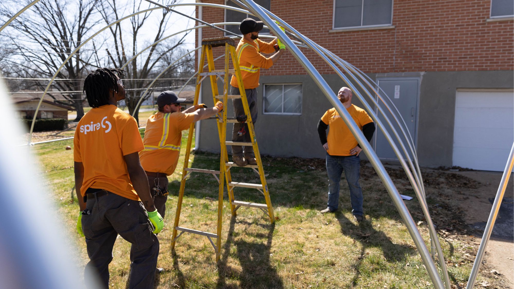 greenhouse structure building