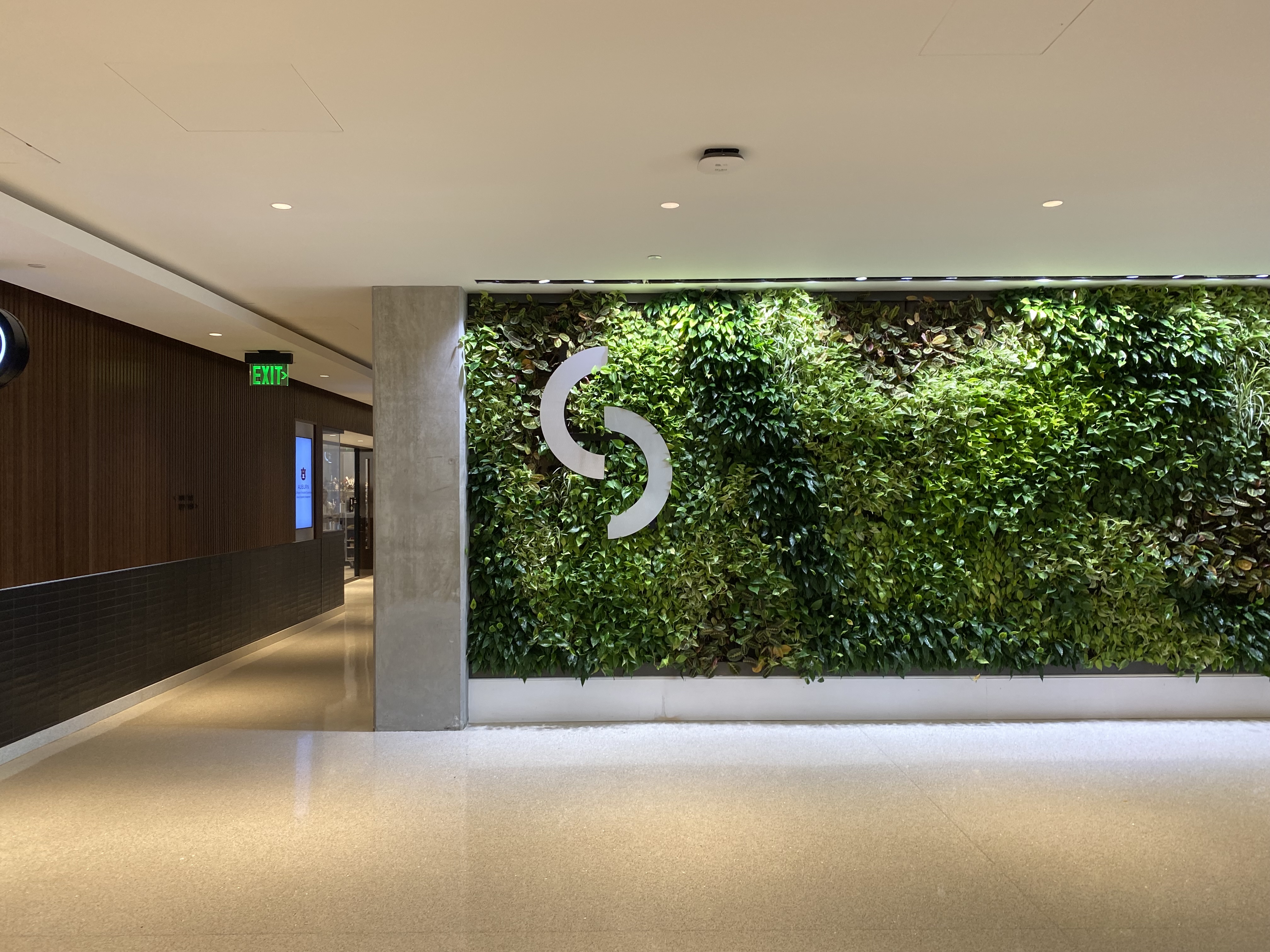 Image of a wall of greenery with a white Spire logo on top