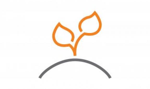 Image of leaf sprouting drawing